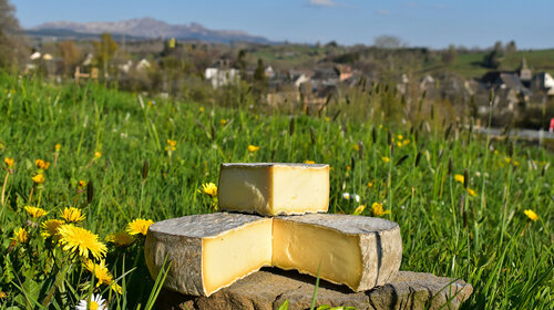 La route des fromages