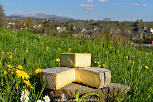 La route des fromages