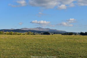 Parc Naturel des Volcans